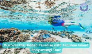 Discover the Hidden Paradise with Tabuhan Island Banyuwangi Tour
