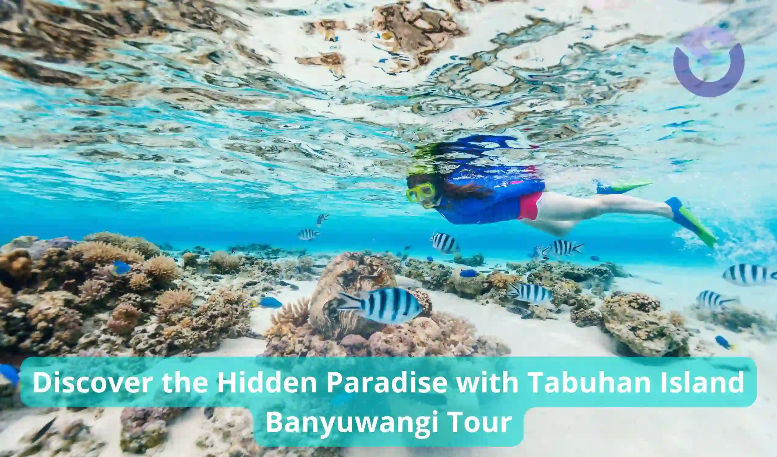 Discover the Hidden Paradise with Tabuhan Island Banyuwangi Tour