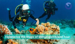 Experience the Magic of Menjangan Island Tour