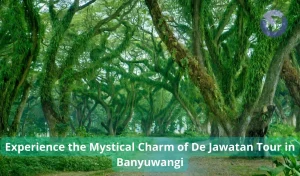Experience the Mystical Charm of De Jawatan Tour in Banyuwangi