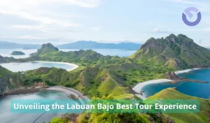 Unveiling the Labuan Bajo Best Tour Experience