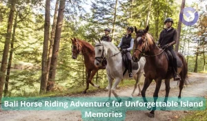 Bali Horse Riding Adventure for Unforgettable Island Memories