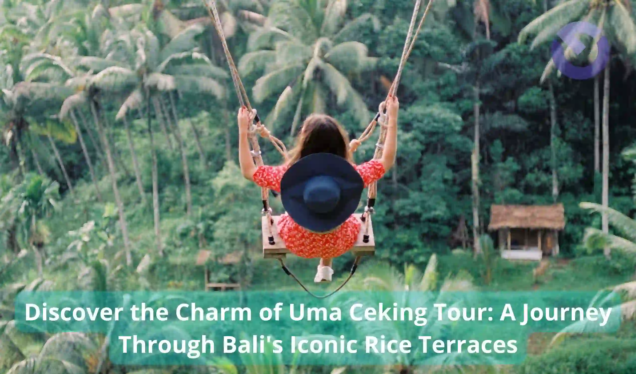 Discover the Charm of Uma Ceking Tour A Journey Through Bali's Iconic Rice Terraces