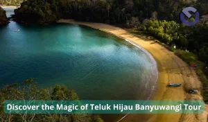 Discover the Magic of Teluk Hijau Banyuwangi Tour