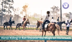 Horse Riding in Bali Discover the Magic on Horseback