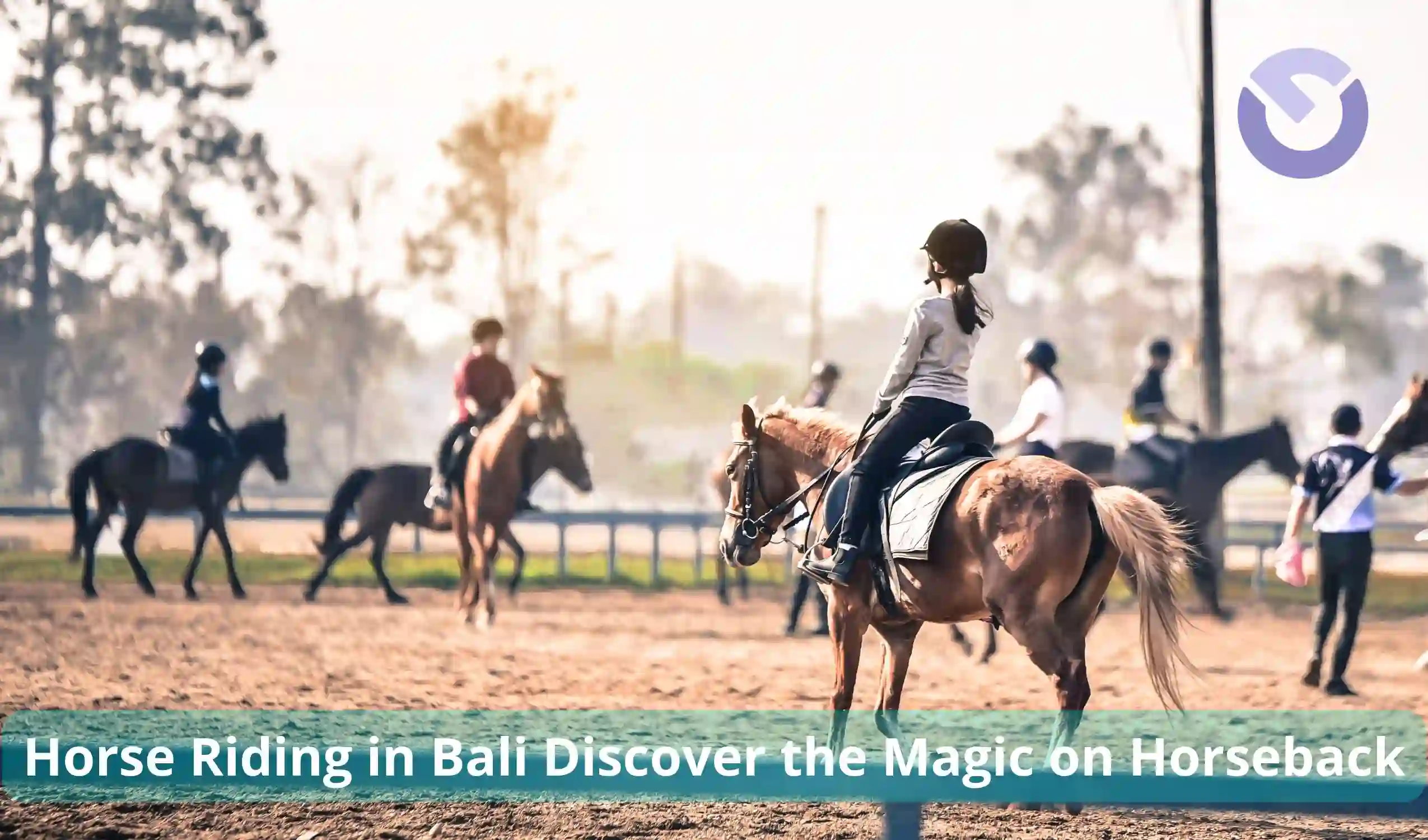 Horse Riding in Bali Discover the Magic on Horseback