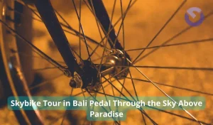 Skybike Tour in Bali Pedal Through the Sky Above Paradise