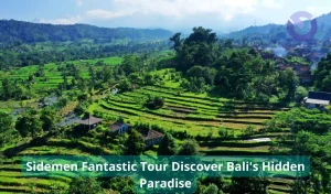 Sidemen Fantastic Tour Discover Bali's Hidden Paradise