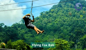 Flying Fox Bali