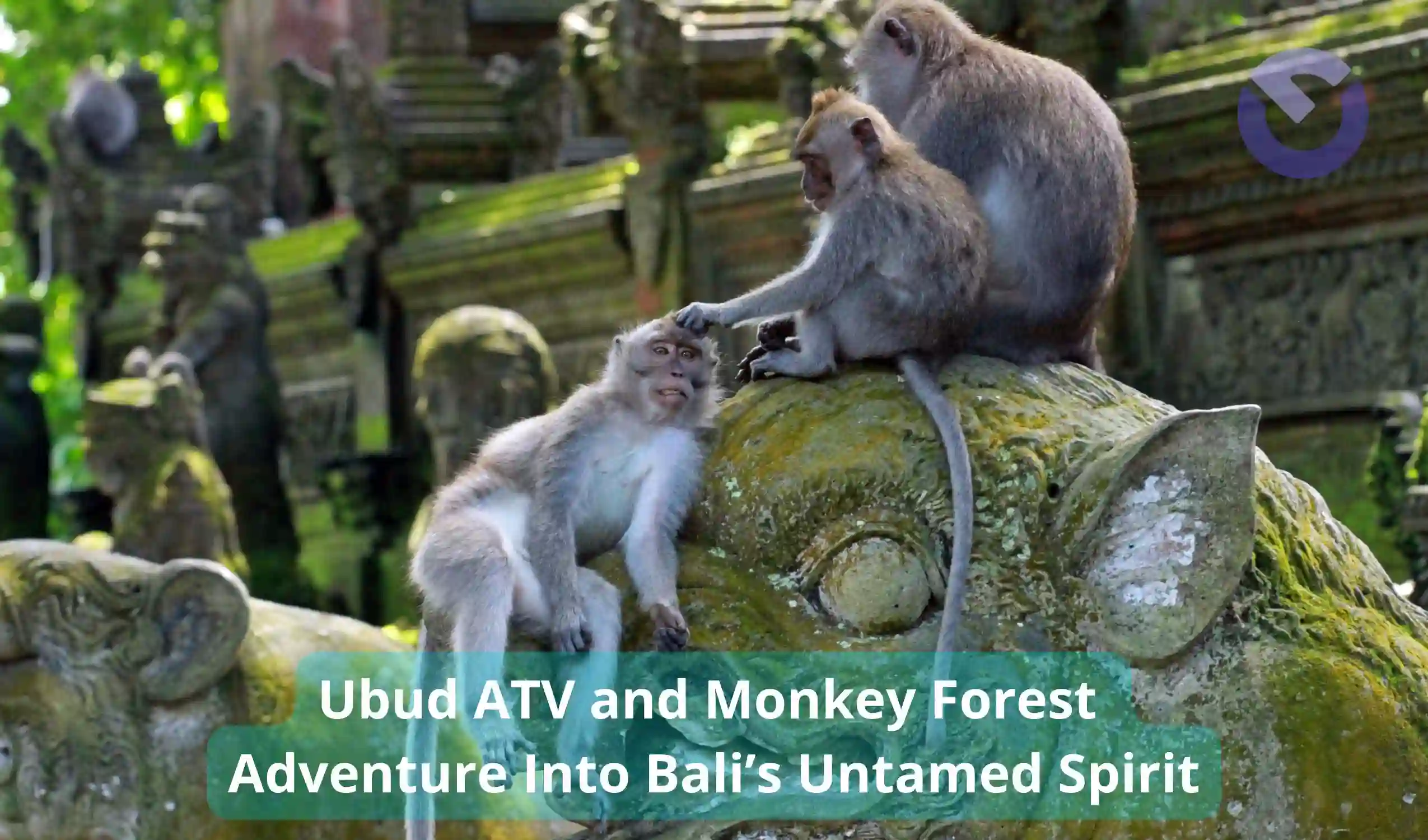 Ubud ATV and Monkey Forest Adventure Into Bali’s Untamed Spirit