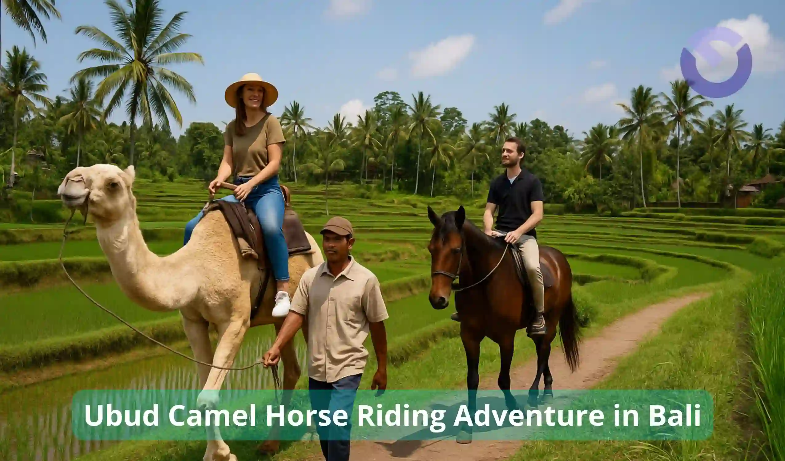 Ubud Camel Horse Riding Adventure in Bali