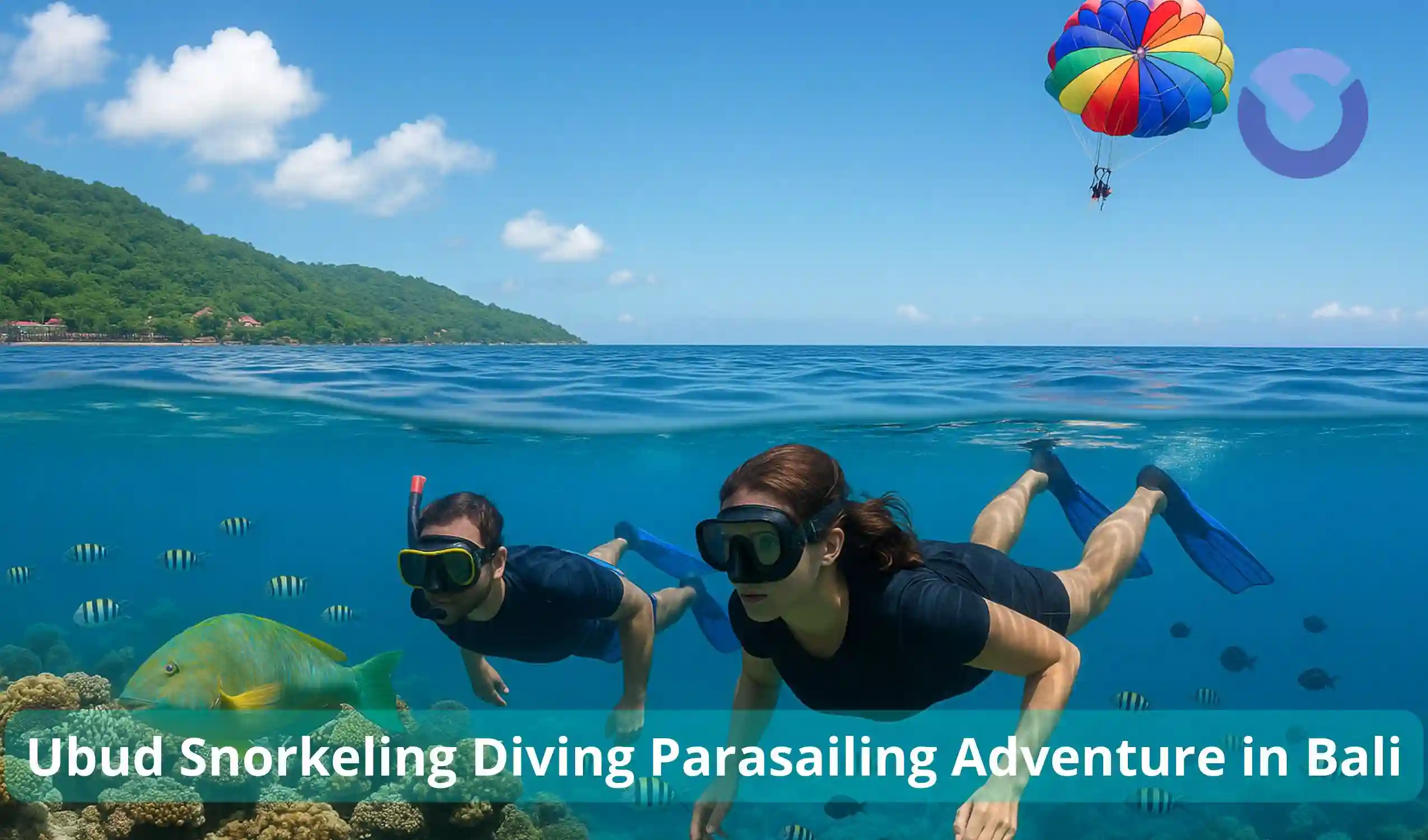 Ubud Snorkeling Diving Parasailing Adventure in Bali