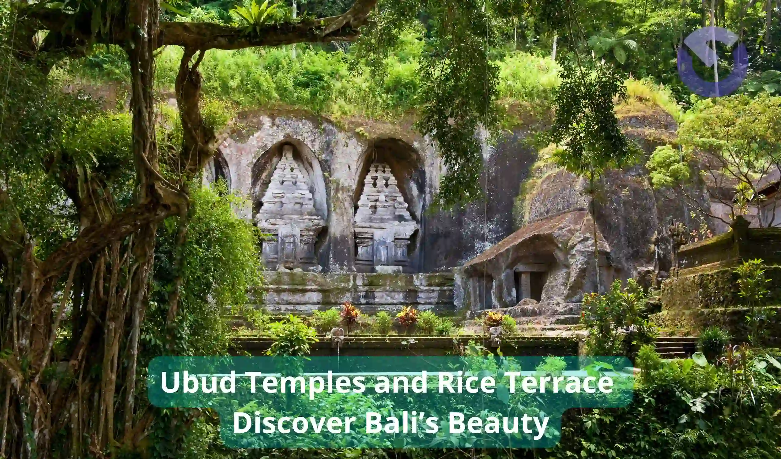 Ubud Temples and Rice Terrace Discover Bali’s Beauty