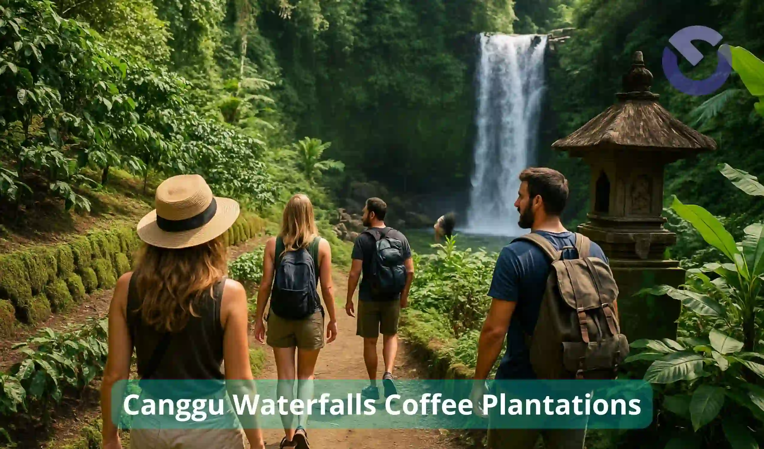 Canggu Waterfalls Coffee Plantations