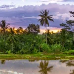UBUD PACKAGE 5 DAYS