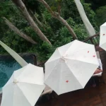 Ubud Package 5 Days