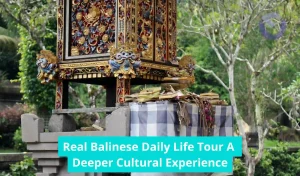 Real Balinese Daily Life Tour A Deeper Cultural Experience