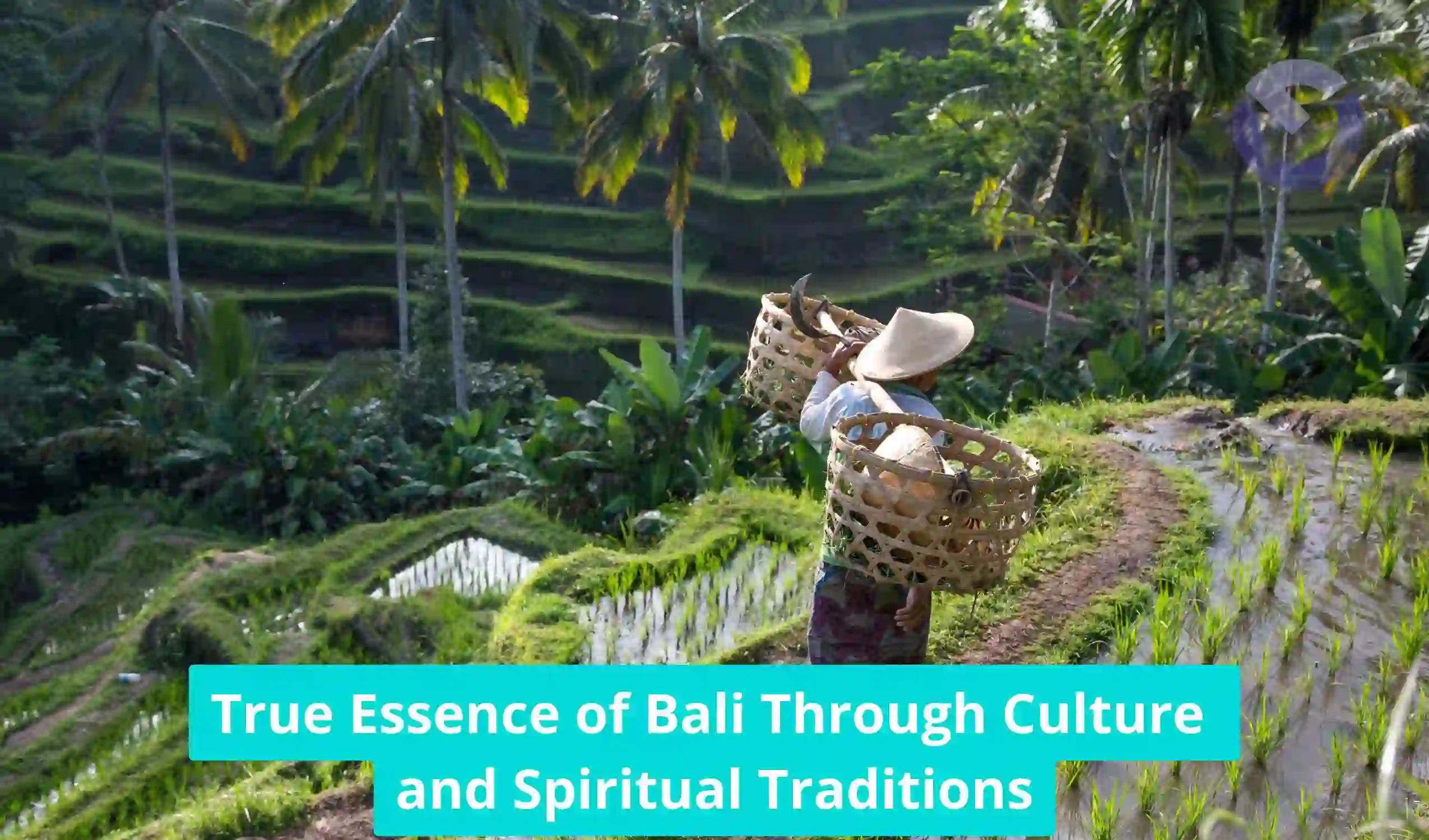 True Essence of Bali Through Culture and Spiritual Traditions