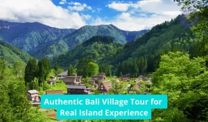 Authentic Bali Village Tour for Real Island Experience