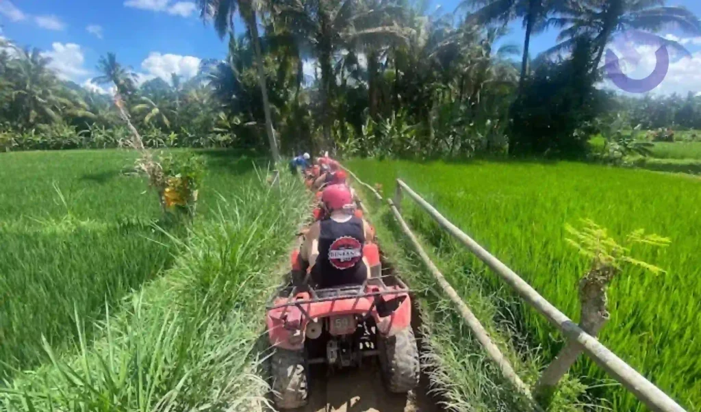 ATV Ride Bali Ultimate Off Road Adventure Experience