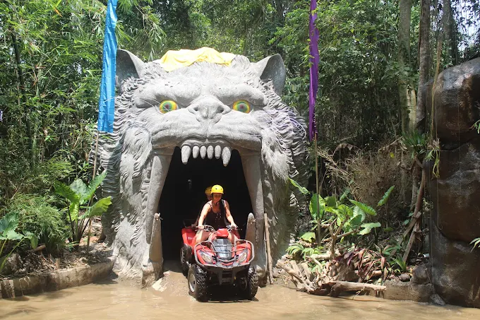Icon ATV Single 3