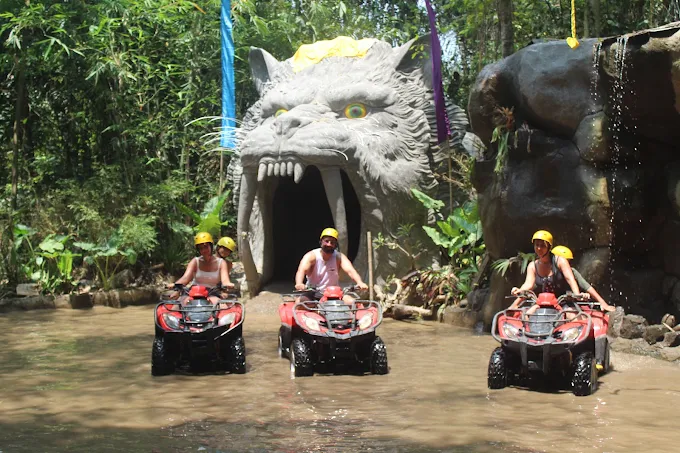Icon ATV Single 5